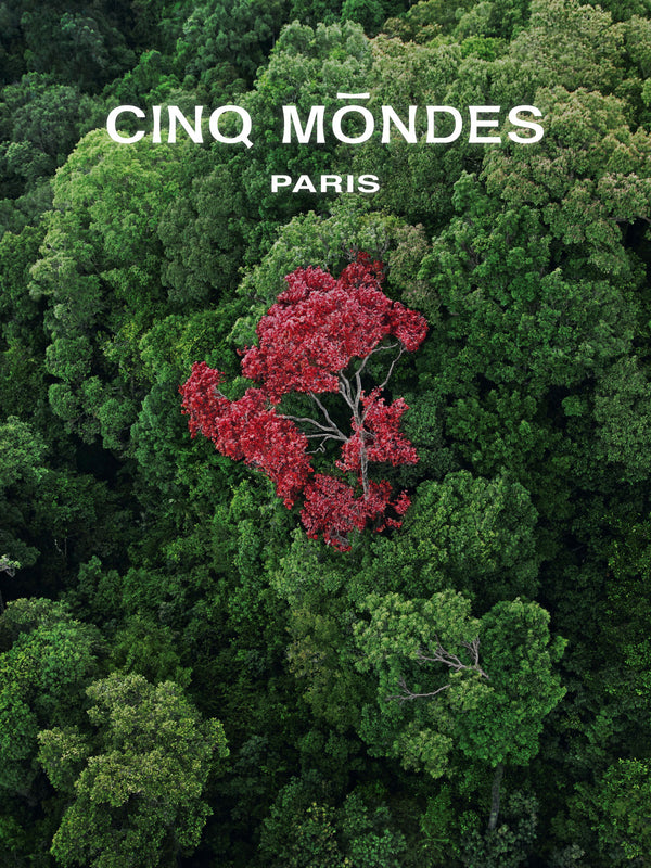CinqMondes-BRAND-IMAGE--con-logo